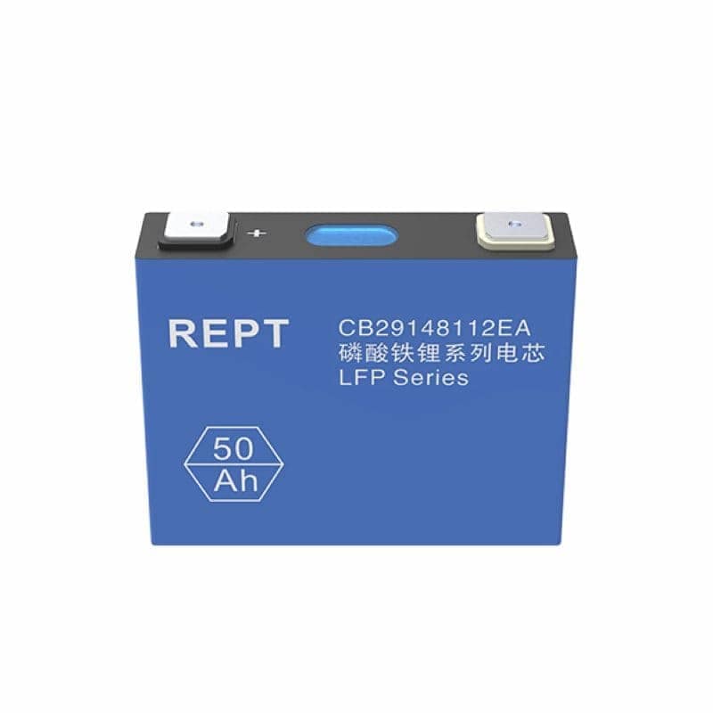 REPT Cells